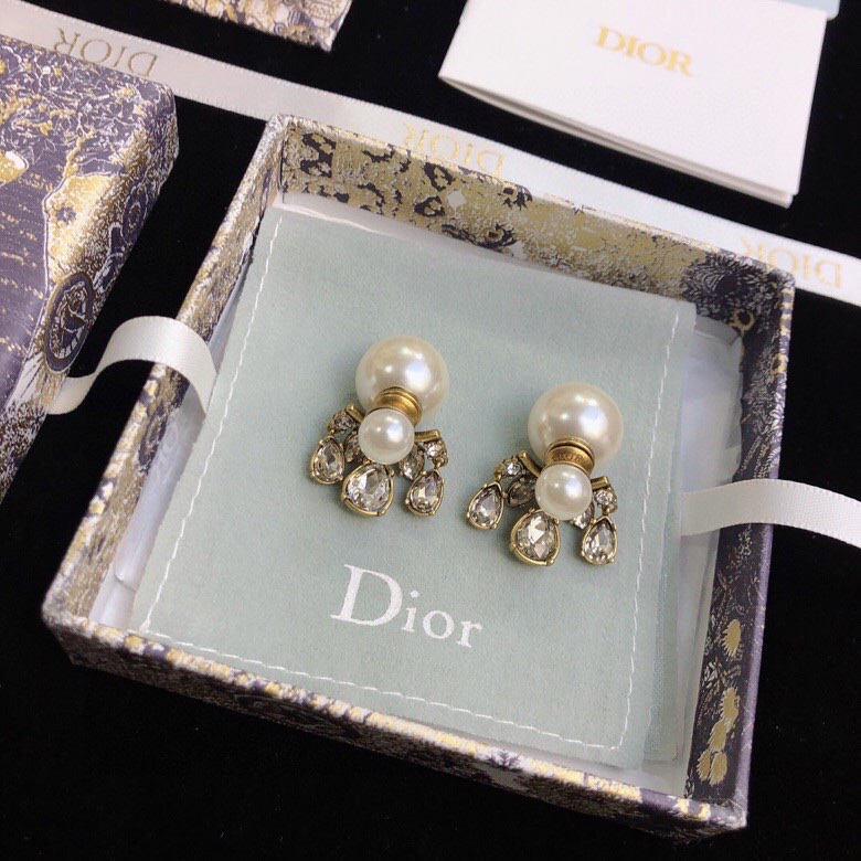 Christian Dior Earrings